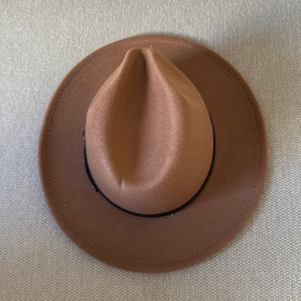 Brown felt hat